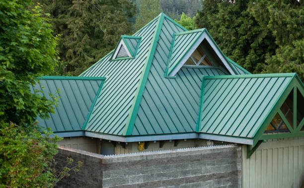 Best Roof Leak Repair  in Ames, TX