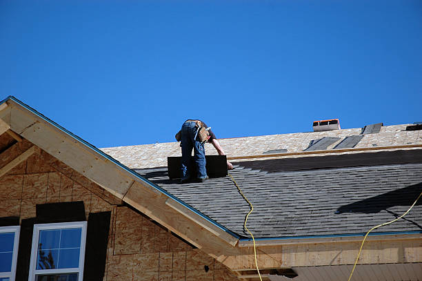 Best Roof Insulation Installation  in Ames, TX