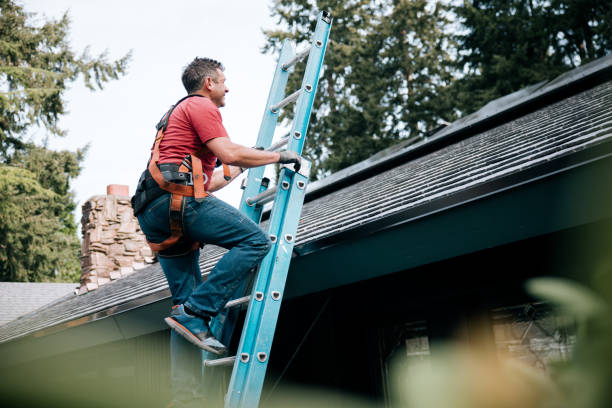 Best Roof Ventilation Installation  in Ames, TX